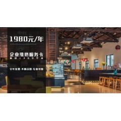企業(yè)版    維修維護   服務(wù)（一年）