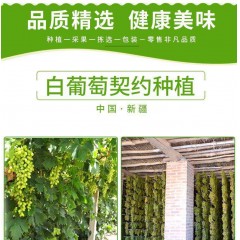 吐魯番無(wú)農(nóng)藥無(wú)核白葡萄干5公斤銷(xiāo)售200元包郵