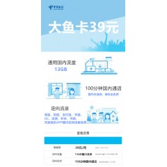 中國電信  大魚卡39元套餐【下訂單，中國郵政快遞包郵到家?！? width=