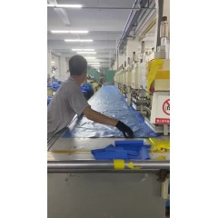 榮威兒童玩具廠 招聘，男50女48歲以內包進廠