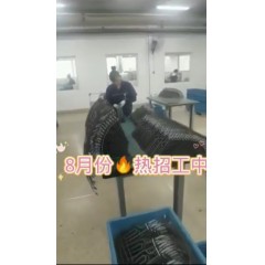 浙江江山電熱棒廠  長白班～兩班倒   男18-55，女18-50周歲